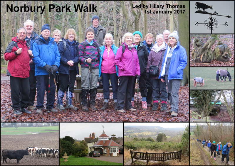 Walk - Norbury Park - New Year's Day 2017